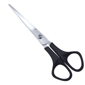 Plastic Handle Scissor